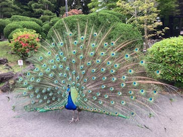 伊豆シャボテン動物公園に投稿された画像（2022/5/15）