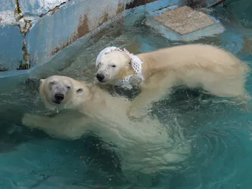 天王寺動物園に投稿された画像（2022/5/15）