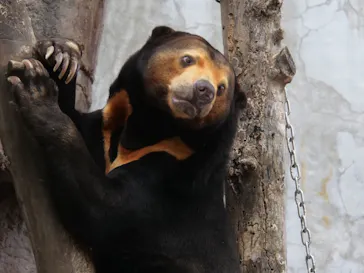 天王寺動物園に投稿された画像（2022/5/15）
