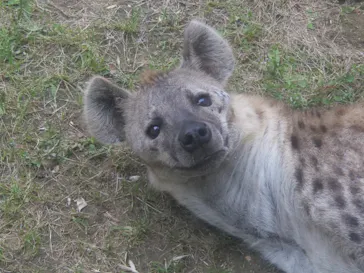 天王寺動物園に投稿された画像（2022/5/15）