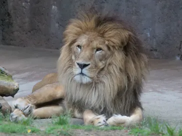 天王寺動物園に投稿された画像（2022/5/15）
