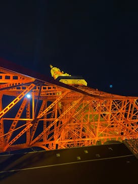 東京タワーに投稿された画像（2022/5/15）