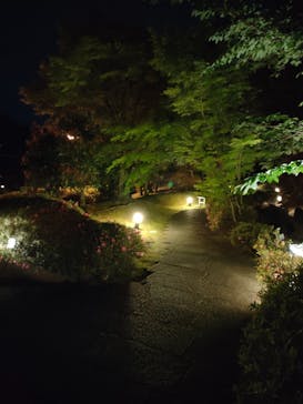 上方温泉 一休 京都本館に投稿された画像（2022/5/15）