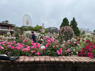 ひらかたパークに投稿された画像（2022/5/15）