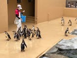 アクアワールド茨城県大洗水族館に投稿された画像（2022/5/15）