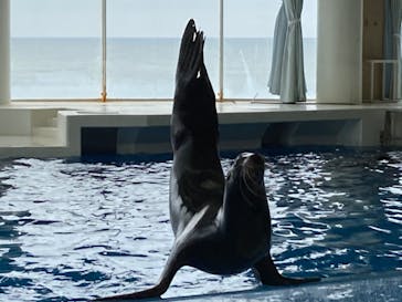 アクアワールド茨城県大洗水族館に投稿された画像（2022/5/15）