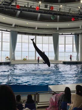 アクアワールド茨城県大洗水族館に投稿された画像（2022/5/15）