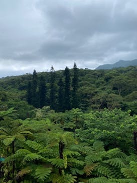 御菓子御殿　名護店　やんばる亜熱帯の森DINO恐竜PARKに投稿された画像（2022/5/15）