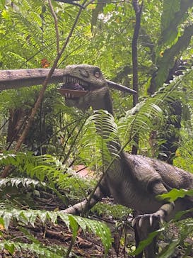 御菓子御殿　名護店　やんばる亜熱帯の森DINO恐竜PARKに投稿された画像（2022/5/15）