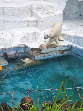 天王寺動物園に投稿された画像（2022/5/15）