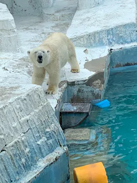 天王寺動物園に投稿された画像（2022/5/15）