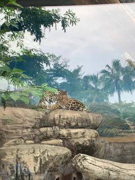 天王寺動物園に投稿された画像（2022/5/15）