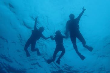 石垣島 ADVENTURE PiPi（イシガキジマアドベンチャーピピ）に投稿された画像（2022/5/15）