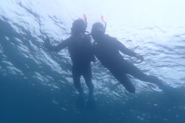 石垣島 ADVENTURE PiPi（イシガキジマアドベンチャーピピ）に投稿された画像（2022/5/15）