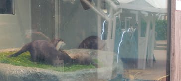 サンシャイン水族館に投稿された画像（2022/5/15）