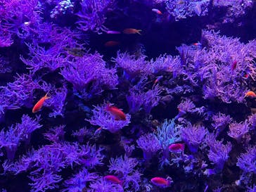 名古屋港水族館に投稿された画像（2022/5/15）