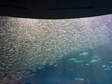 名古屋港水族館に投稿された画像（2022/5/15）