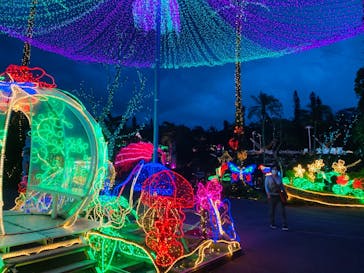 美らヤシパークオキナワ・東南植物楽園に投稿された画像（2022/5/15）