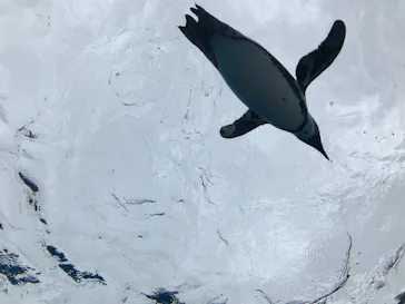 サンシャイン水族館に投稿された画像（2022/5/15）
