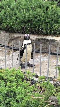 サンシャイン水族館に投稿された画像（2022/5/15）