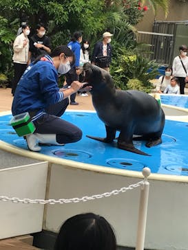 サンシャイン水族館に投稿された画像（2022/5/15）