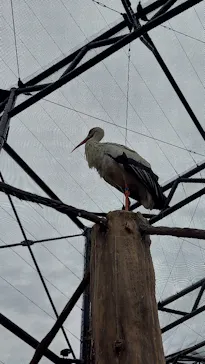 天王寺動物園に投稿された画像（2022/5/15）