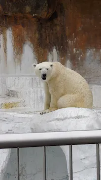 天王寺動物園に投稿された画像（2022/5/15）
