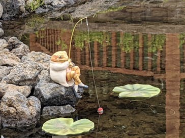 富士芝桜まつり(富士本栖湖リゾート)に投稿された画像（2022/5/15）