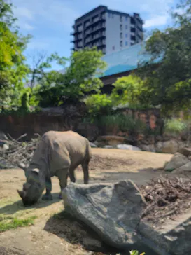 天王寺動物園に投稿された画像（2022/5/15）