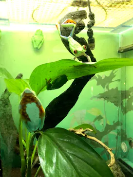 サンシャイン水族館に投稿された画像（2022/5/15）