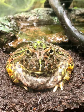 サンシャイン水族館に投稿された画像（2022/5/15）