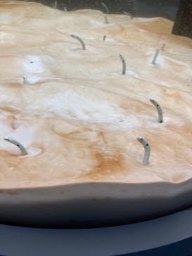 神戸みなと温泉 蓮に投稿された画像（2022/5/15）