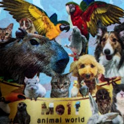 Moff animal world MARK IS みなとみらい店に投稿された画像（2022/5/15）