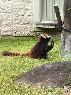天王寺動物園に投稿された画像（2022/5/15）