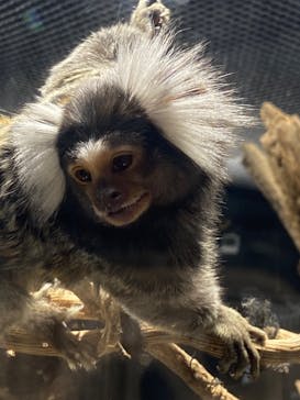 カワスイ 川崎⽔族館に投稿された画像（2022/5/15）