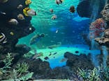サンシャイン水族館に投稿された画像（2022/5/16）