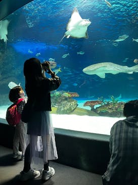 サンシャイン水族館に投稿された画像（2022/5/16）