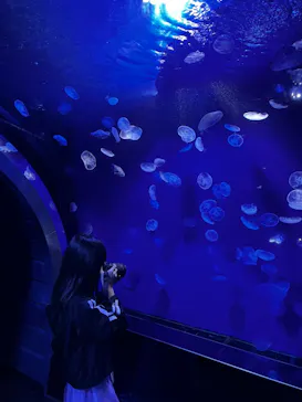 サンシャイン水族館に投稿された画像（2022/5/16）