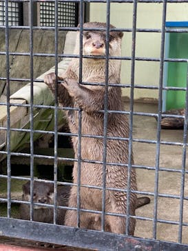 東武動物公園に投稿された画像（2022/5/16）
