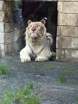 東武動物公園に投稿された画像（2022/5/16）