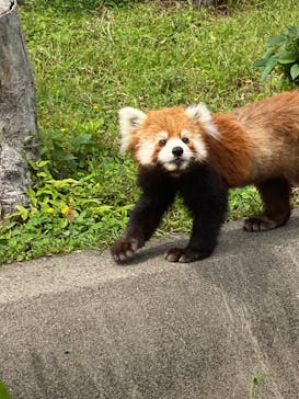 東武動物公園に投稿された画像（2022/5/16）