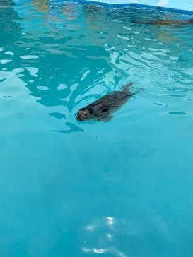 東武動物公園に投稿された画像（2022/5/16）