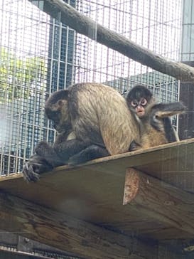 東武動物公園に投稿された画像（2022/5/16）