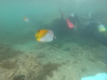 武藤潜水に投稿された画像（2022/5/16）