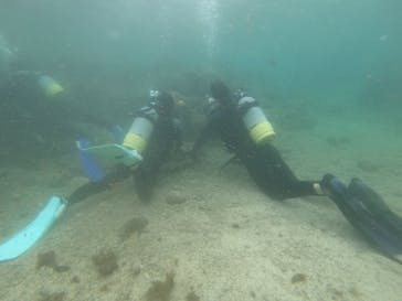 武藤潜水に投稿された画像（2022/5/16）