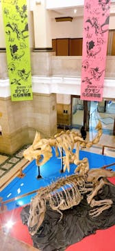 国立科学博物館　特別企画展「ポケモン化石博物館」に投稿された画像（2022/5/16）