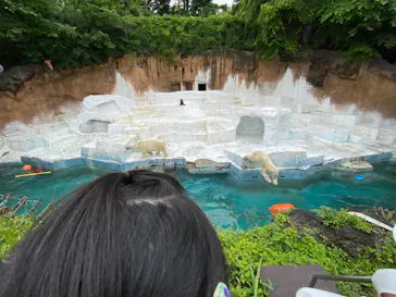 天王寺動物園に投稿された画像（2022/5/16）