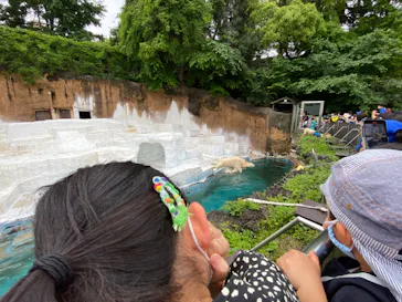 天王寺動物園に投稿された画像（2022/5/16）