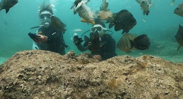 DIVING-SHOP SUNSに投稿された画像（2022/5/16）