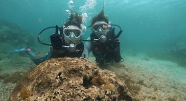 DIVING-SHOP SUNSに投稿された画像（2022/5/16）